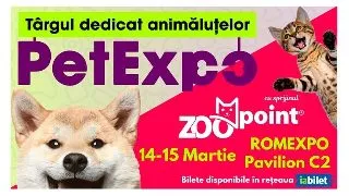 PetExpo 2026: Produse smart si high-tech, concursuri cu premii si activitati pentru animalele de companie, weekendul acesta la Romexpo