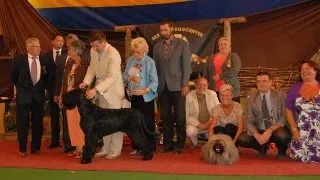 Dracula Dog Show - Targu Mures 2009