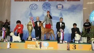 World Dog Show 2009 Bratislva