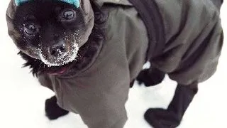 Hainele vs. temperaturile scazute