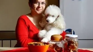De vorba cu Ama despre patiseria canina