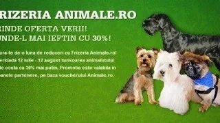Oferta verii: Frizeria Animale.ro