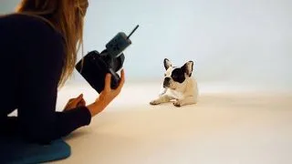 Fotografia de familie cu catelul - cum il faci sa "zambeasca"?