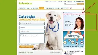 Matreata la pisici - Cum scapam de ea?