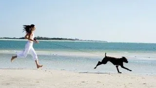 Cum iti poate imbunatati sanatatea un animal de companie