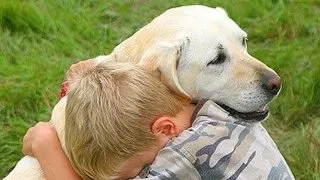 Ce poti face cand gasesti un animal pierdut