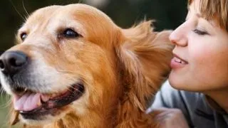 Emotiile oamenilor sunt diferite de cele ale animalelor