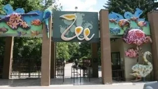 De ce sa vizitezi Gradina Zoologica din Bucuresti