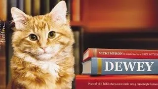 O poveste universala despre dragoste, speranta si prietenie.