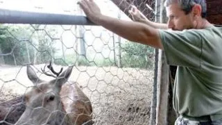 Un barbat din Italia salveaza animalele de sub daramaturi (Foto)