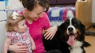 Zooterapie: Spitalele au inceput sa permita vizitele animalelor de companie