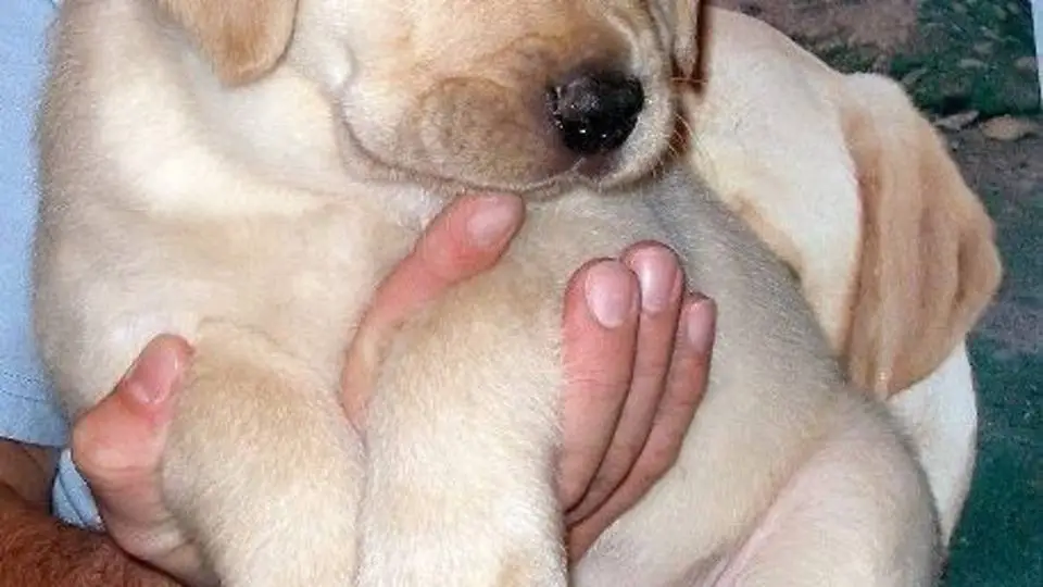 1/104