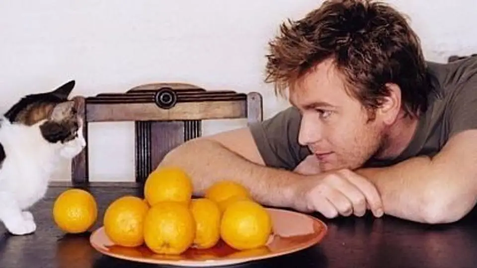 1/1778
