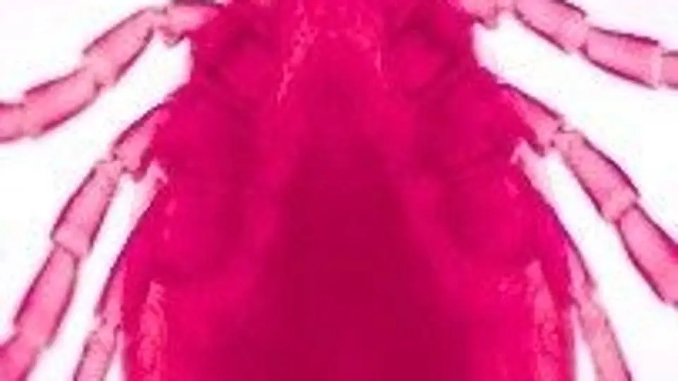 1/193