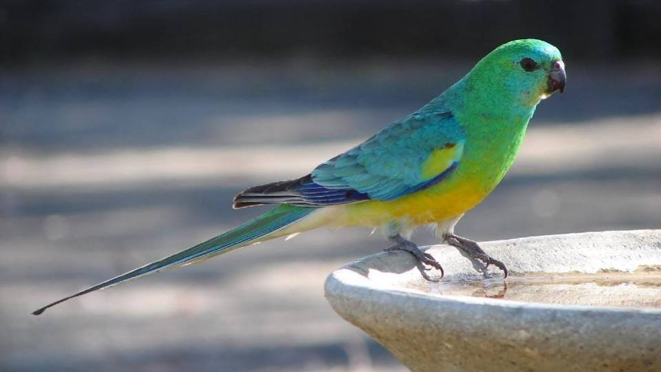 2/2801.jpg