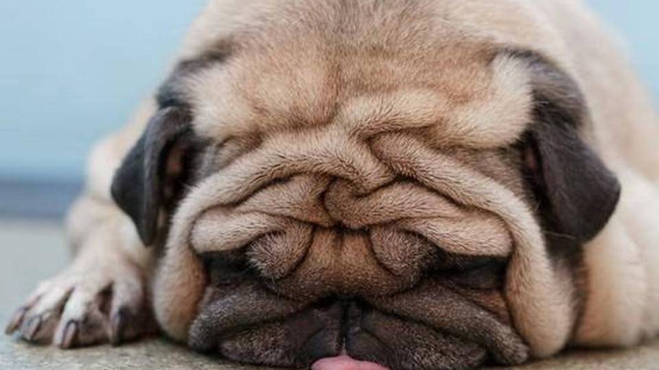 2/2905.jpg