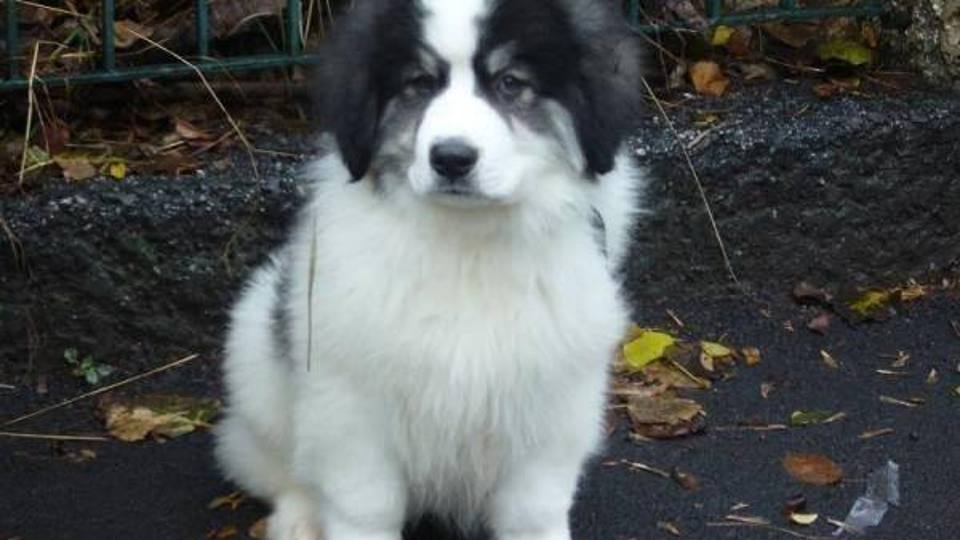 3/3372.jpg