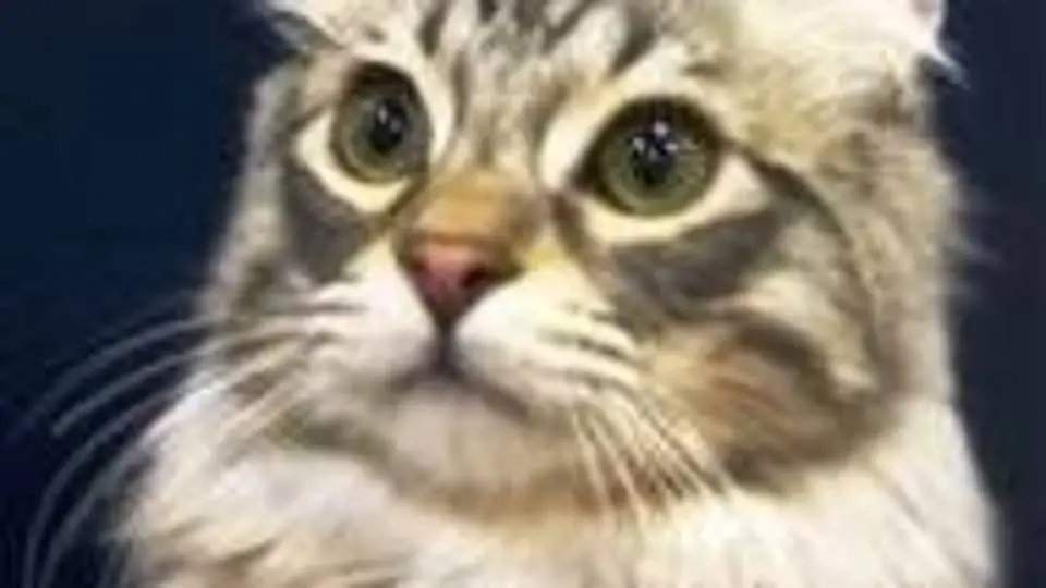 3/3439
