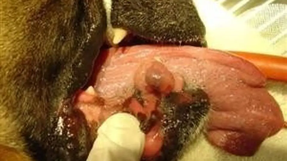 3/352