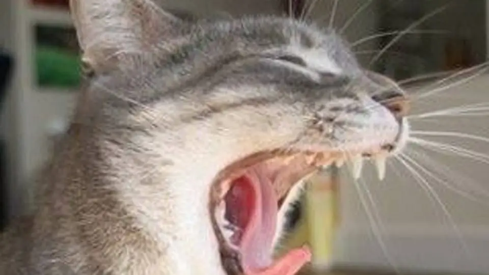 5/580