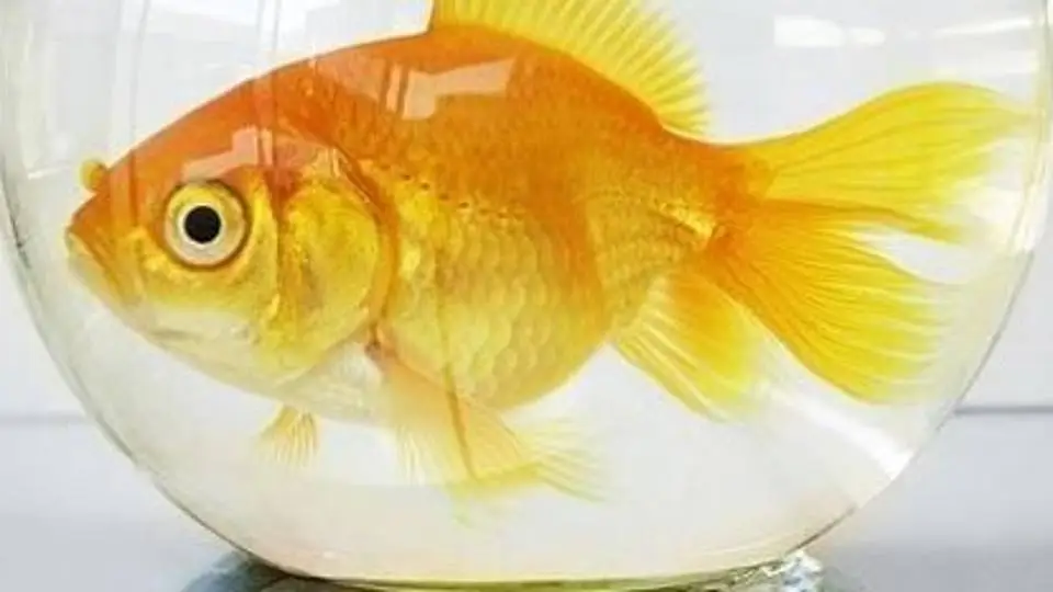 7/756