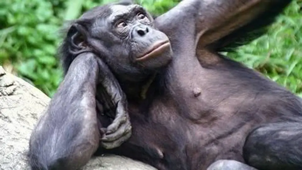 8/872