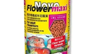 JBL Novoflower Maxi 1 l