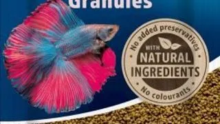 Tetra Betta Plic Granulat 5 g