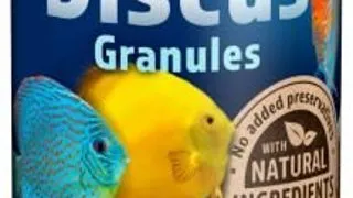 Tetra Discus 100 ml