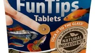 Tetra Fun Tips 20 Tbl