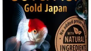 Tetra Fin/Goldfisch Gold Japan 250 ml