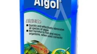 Jbl Algol 100 ml