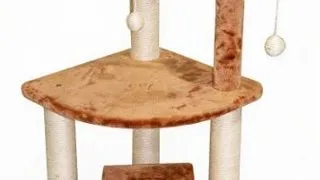 Pet Expert Ansamblu Play Kitty SBE310