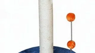 Pet Expert Ansamblu Orange Flower SBE1942