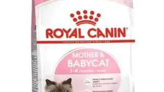 Royal Canin Felin Mother &amp; Baby Cat - royal-canin,4-kg