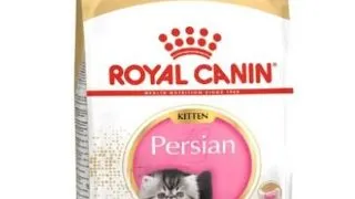 Royal Canin Felin Persian Kitten - 400-g,royal-canin
