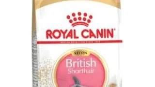 Royal Canin Felin British Shorthair Kitten - royal-canin,400-g