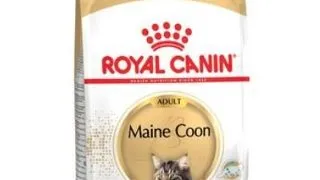 Royal Canin Felin Maine coon 4 kg