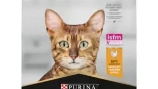 Pro Plan Cat Adult Chicken/Rice 1.5 kg