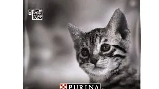 Pro Plan Cat Kitten Chicken 10 kg