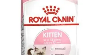 Royal Canin Felin Kitten - 10-kg,royal-canin