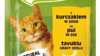 Kitekat Plic Adult Pui 85 G