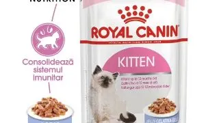 Royal Canin Felin Plic Kitten Jelly 85 g
