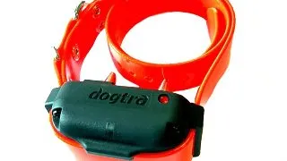 Receptor suplimentar pentru Dogtra 3500NCP - Portocaliu