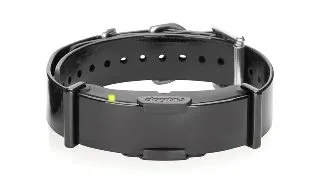Receptor suplimentar Dogtra ARC 800 / ARC 802 - Negru