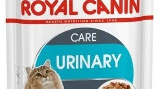 Royal Canin Felin Plic Urinary Care 85 g