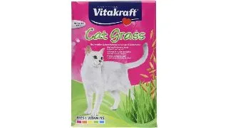 Vitakraft Iarba Pisicii Plic 50 g