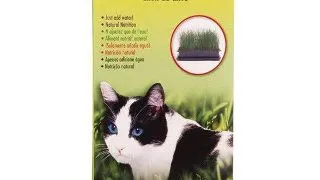 Hagen Cat Grass 85 g