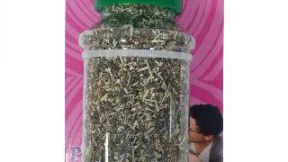 Paiatze Cat Catnip 30 g 550-998