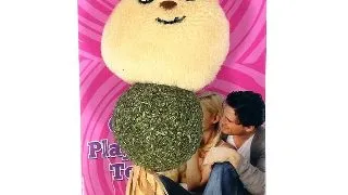 Paiatze Cat Catnip Catel 550-941